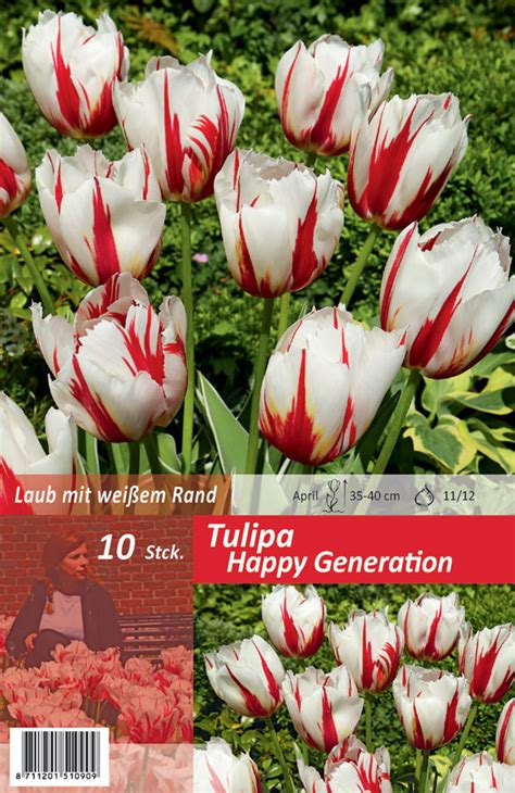 Triumph Tulpen Tulipa Happy Generation Blumenzwiebeln Fr Hjahrsbl Her