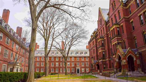 How To Get Into An Ivy League