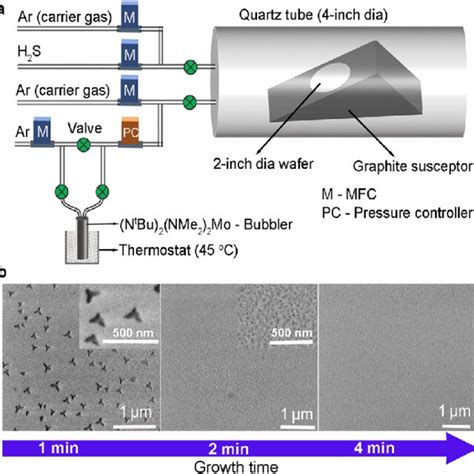 Mos Growth Using Gas Phase Cvd Setup A Schematics Of The Mos