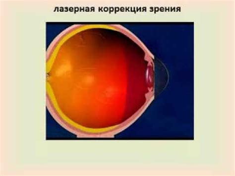 Сенсорные системы - YouTube