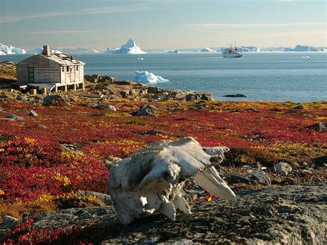 As Belezas Naturais Da Tundra Geografia Opinativa