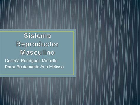 Pdf Sistema Reproductor Masculino Dokumen Tips