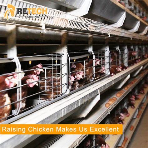 Price Modern Commercial Metal Four Tiers H Type Layer Hens Poultry Farm