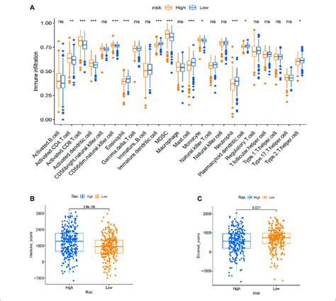 Tme Cell Infiltration Characteristics In Distinct Modification