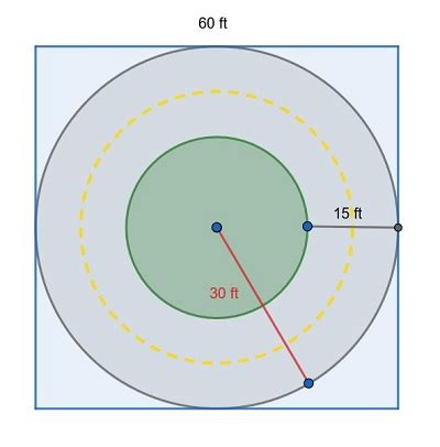 Annulus Definition Area Examples Study