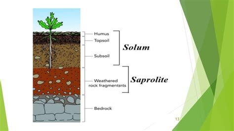 Soil Profile | PPT