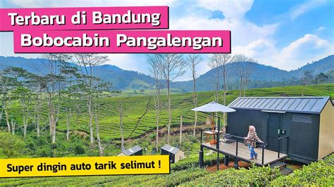 Staycation Mantap Di Tengah Kebun Teh Bandung Selatan Bobocabin