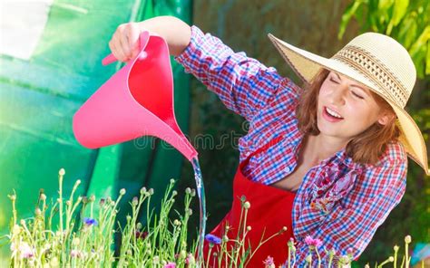 Woman With Gardening Tool Working In Greenhouse Arkivfoto Bild Av