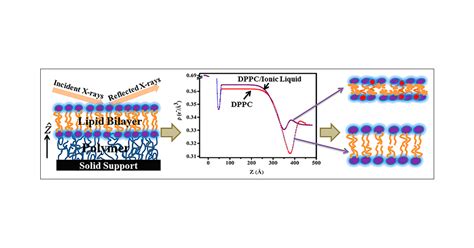 X Ray Reflectivity Study Of The Interaction Of An Imidazolium Based