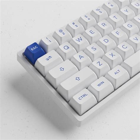 Akko 3068B Plus, Blue on White, LEDs RGB, CS Jelly PURPLE, USB ...