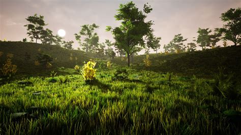 Broadleaf Forest Pack in Environments - UE Marketplace