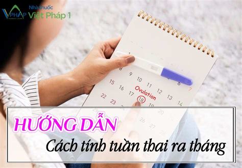 Hướng Dẫn Cách Tính Tuần Thai Ra Tháng đầy đủ Và Chính Xác Nhất