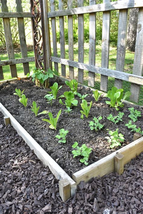 simple-garden-ideas-13.jpg - Giggle Living