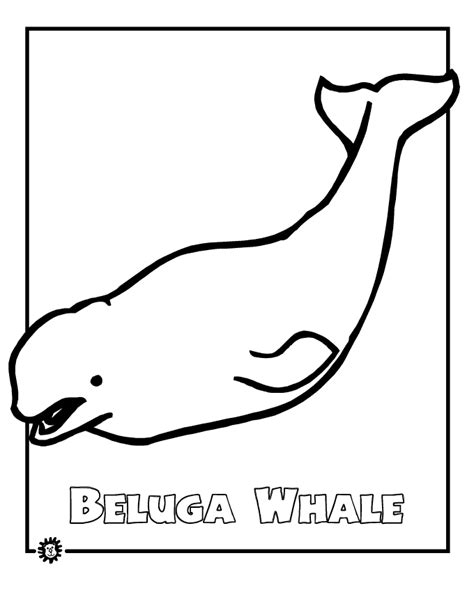 Beluga Whale coloring page - Animals Town - animals color sheet ...