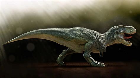 Majestic T Rex Hd Wallpaper