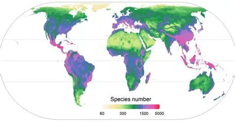 Plant Diversity on a World Map - Assignment Point