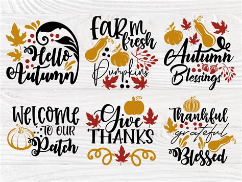 Autumn Svg Bundle Fall Svg Pumpkin Svg Cut Files Etsy Hong Kong