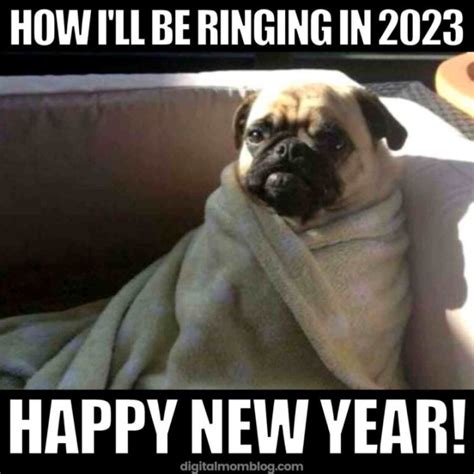 Happy New Year Memes! — Funny Pictures