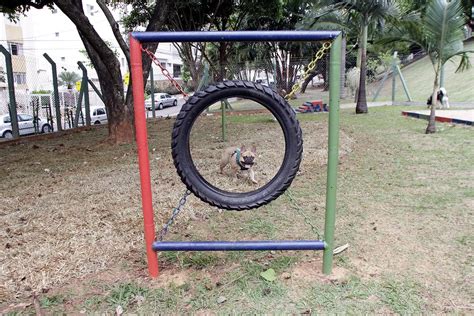 Campinas Inaugura Quinto Parc O Para Pets Em Bairro Acidade On Campinas