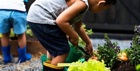 Teaching Self-Sufficiency to Our Kids Via Gardening