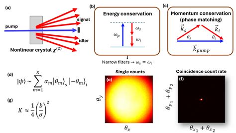 Spdc Introduction To Spatial Entanglement Raicol Crystals