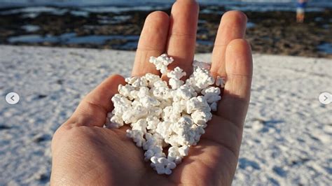 Canary Islands Beach Is Strewn With What Looks Like Popcorn The