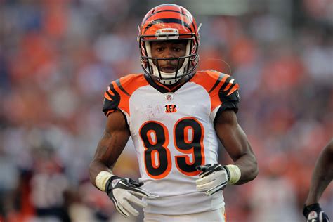 Jerome Simpson's touchdown flip keeps Bengals alive - CBS News