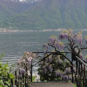 Wedding Dinner On Lake Como Package Wedding In Italy