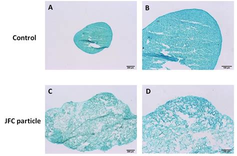 Alcian Blue Staining Of Pellet Cultured Human Msc Treated With