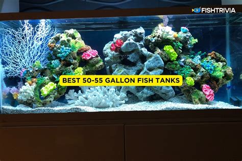 The Best 50 55 Gallon Fish Tanks Aquarium Kits 2024 FishTrivia