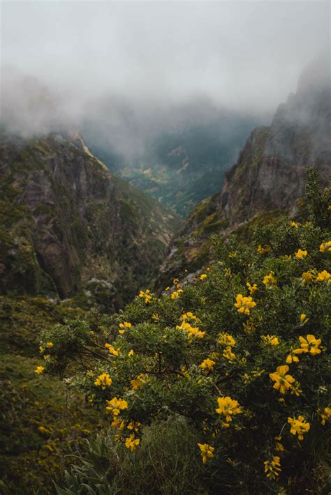 The Ultimate Guide to Spending 3 Epic Weeks in Madeira, Portugal