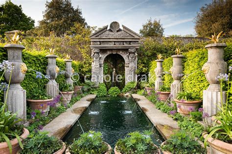 Carole Drake The Collector Earl S Garden At Arundel Castle West