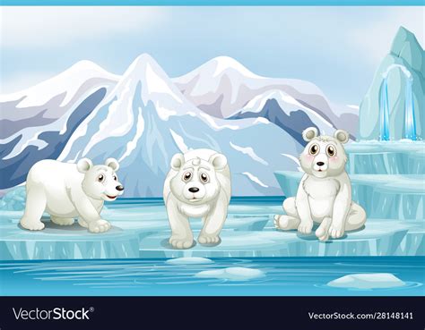 Scene With Three Polar Bears On Ice Royalty Free Vector