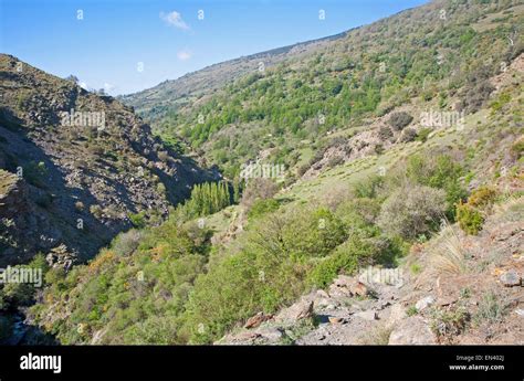 Landscape Of The River Rio Poqueira Gorge Valley High Alpujarras