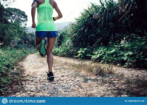 Corredor Del Rastro De La Mujer Que Corre En Bosque Imagen De Archivo