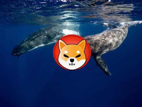 Shiba Inu Whale Buys 48 Million SHIB Amid LEASH Utility Update