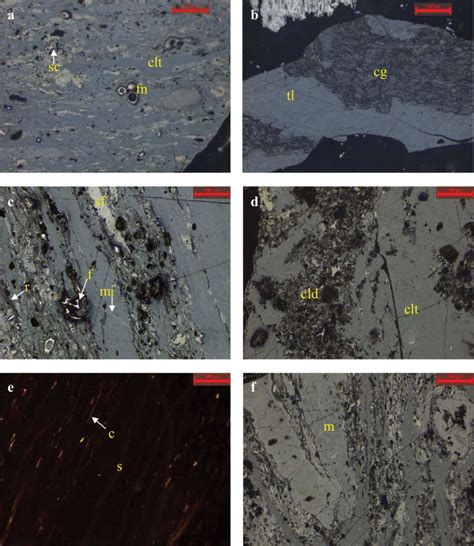 Representative Micro Photographs Of The Macerals A Collotelinite