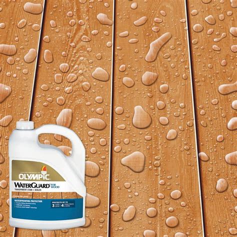 Olympic WaterGuard 1 Gal Woodland Cedar Transparent Exterior Wood