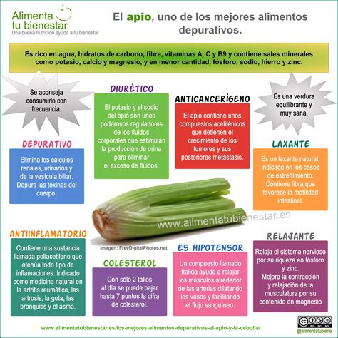 Infografia El Apio Uno De Los Mejores Alimentos Depurativos PDF