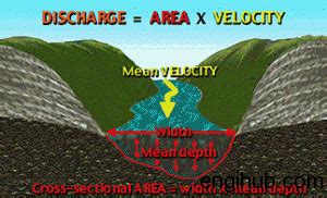 River Discharge: How to Calculate the Discharge Flow of River