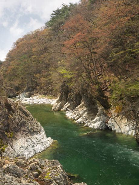 Tone River Japan Stock Photos, Pictures & Royalty-Free Images - iStock