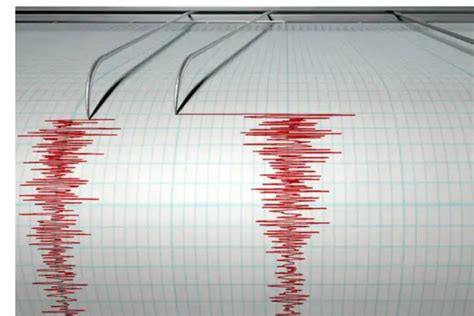 Gempa Pada Skala Richter Guncang Sorong Antara News