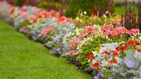 Come Fare Un Aiuola Nel Tuo Giardino Istruzioni Essenziali