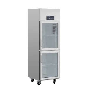 Industrial Commercial Single Door Upright Freezer Refrigerator China