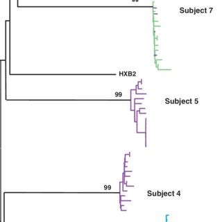 Phylogenetic Analysis Of Full Length Env Sequences Gp Nucleotide