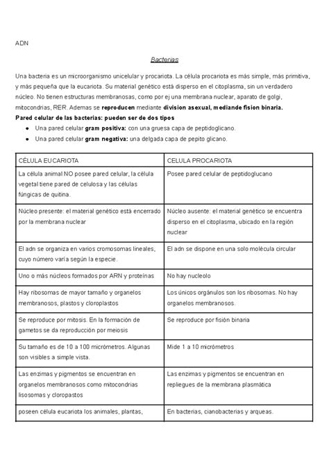 Bacterias Adn Resumen Agentes Mecanismos De Defensa Y Nutrici N