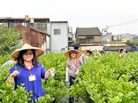 花壇有機茉莉花田 今年達5公頃 生活 自由時報電子報