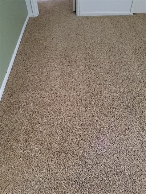 Carpet Matted After Cleaning - Carpet Vidalondon