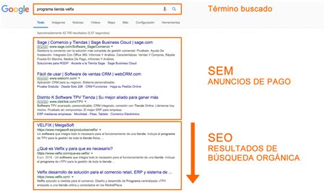 ¿cómo Hacer Un Análisis Seo De La Competencia Panda Creativos