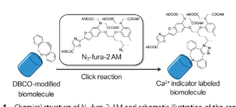 Figure 1 From Intracellular Click Reaction With A Fluorescent Chemical